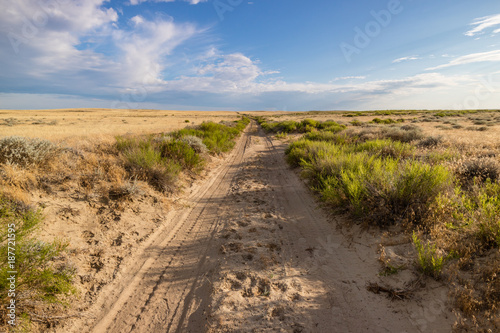 Desert Road  Kazakhstan 