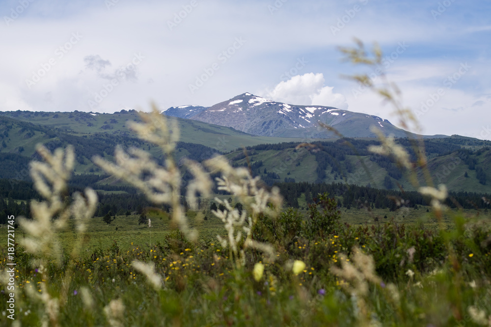 Fototapeta premium South Altay Region