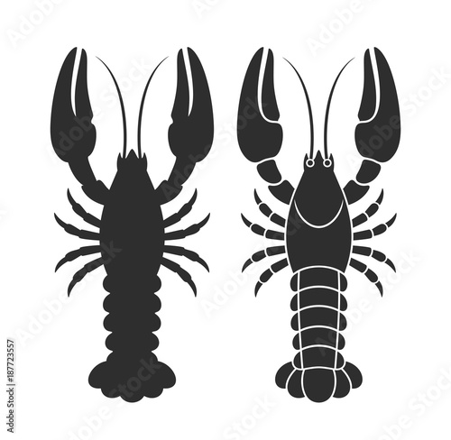 Crayfish silhouette. Isolated crayfish on white background © oleg7799