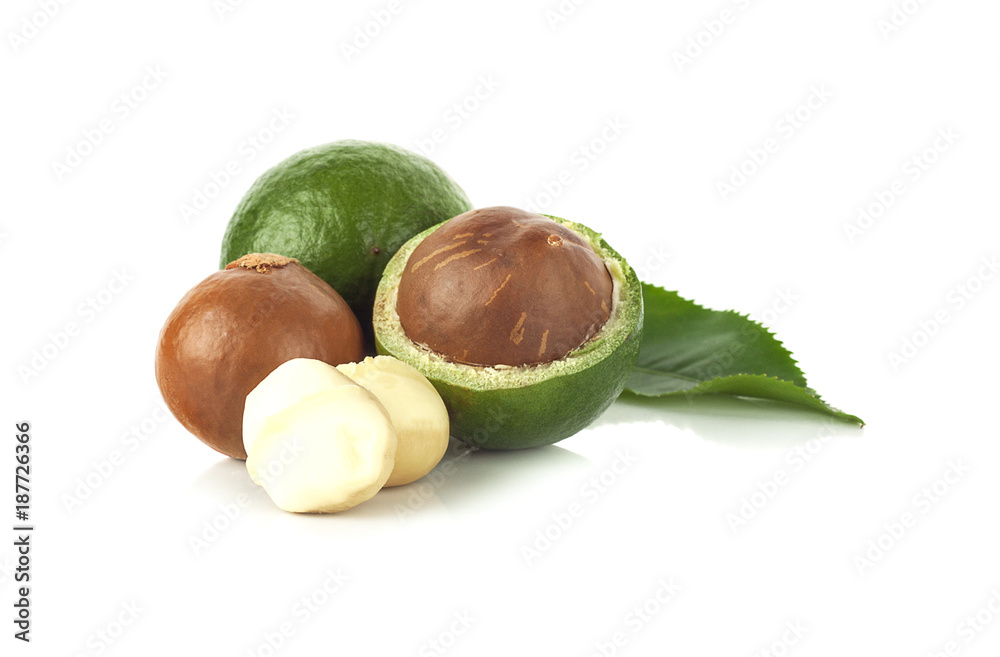 Macadamia nut on white background Macadamia nut on white background