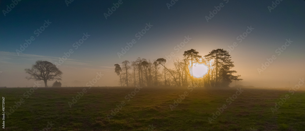 Misty winter morning sunrise over the hill on the South Downs near Hambledon, Hampshire, UK