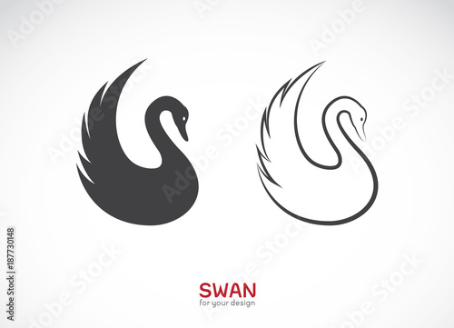 Fototapeta Naklejka Na Ścianę i Meble -  Vector of two swan design on white background. Wild Animals. Bird. Easy editable layered vector illustration.