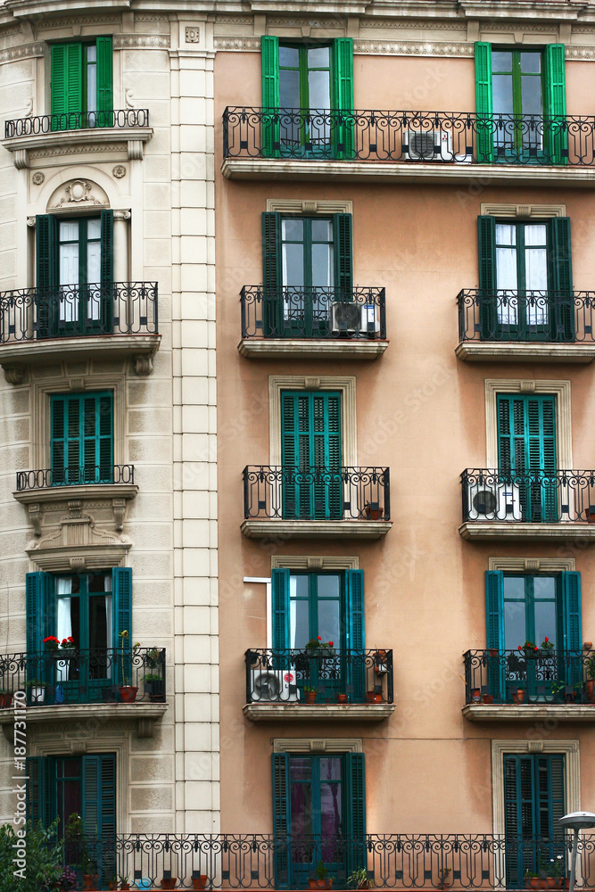 Obraz premium Green windows