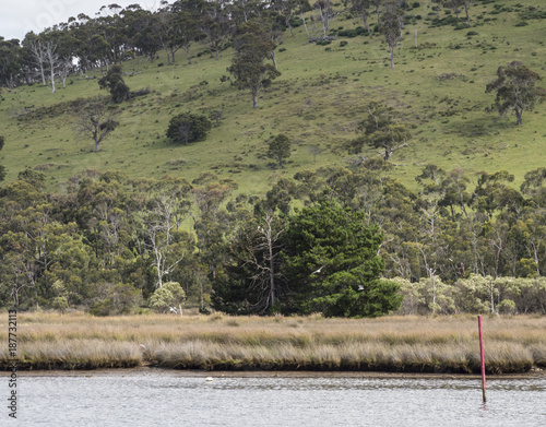 Huon River Scene photo