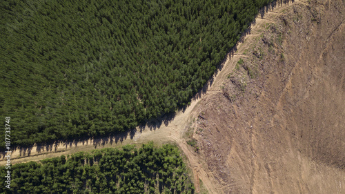 Billede på lærred Environmental damage