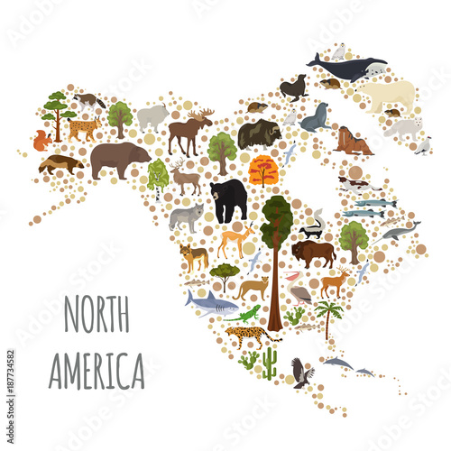 North America flora and fauna map, flat elements. Animals, birds and sea life big set. Build your geography infographics collection