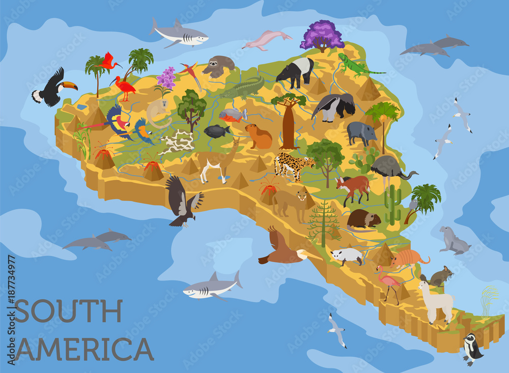 Naklejka Izometryczne 3d Ameryki Południowej flory i fauny elementów mapy. Zwierzęta, ptaki i życie morskie. Zbuduj własną kolekcję infografiki geografii
