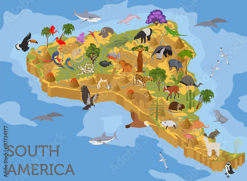 Isometric 3d South America flora and fauna map elements. Animals, birds and sea life. Build your own geography infographics collection