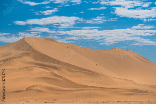 Dune 7, a very large sand dune area at the edge of the Namib desert near the harbor city of Walvis Bay, Namib-Naukluft National Park, Namibia.