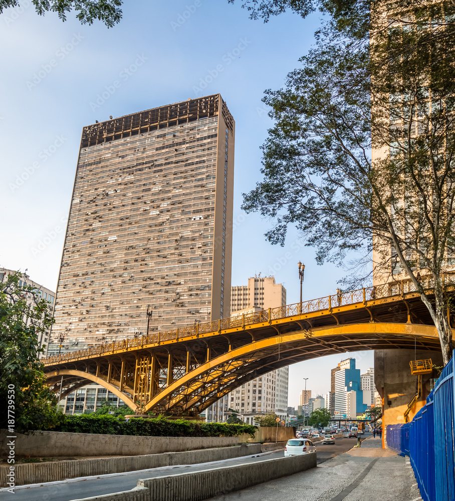 Fototapeta premium Santa Ifigenia Viaduct - Sao Paulo, Brazil