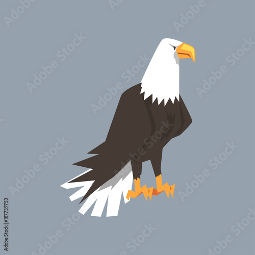 North American Bald Eagle character, symbol of freedom and independence vector illustration