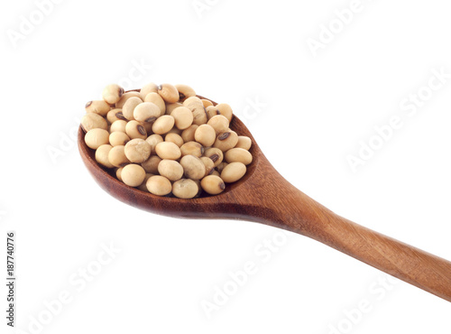 soybeans an isolated on white background
