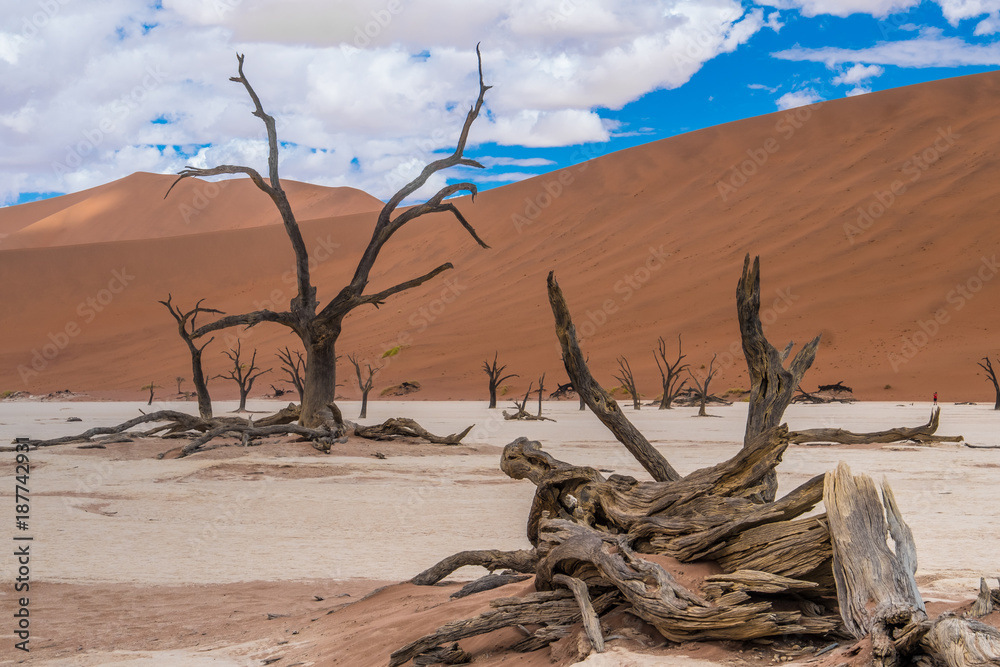 Deadvlei (dead marsh), a dry white clay pan in the Namib-Naukluft Park in Namibia. Surrounded by the highest sand dunes in the world.