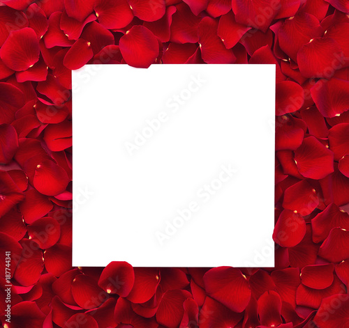 Frame of red rose petals