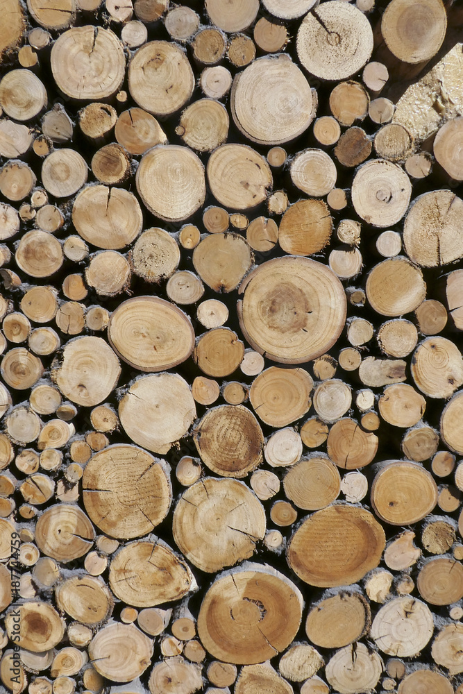 Sawn timber logs prepared and stacked for a wood burning stove. Close up in full frame and a vertical format. Timber industry concept. Sawn timber logs prepared and stacked for a wood burning stove. Close up in full frame and a vertical format. Timber industry concept.