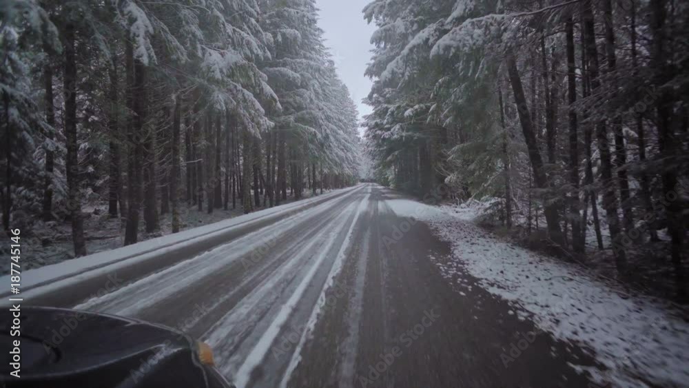 road with snow and trees