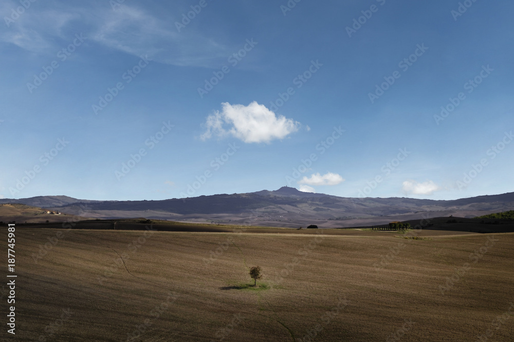 Obraz premium Tuscany Landscape in Val D'Orcia Countryside