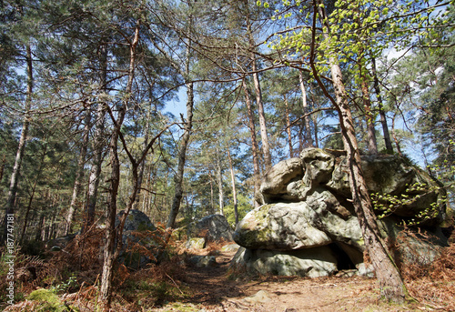 Rocky chaos in the regional nature park of french Gatinais