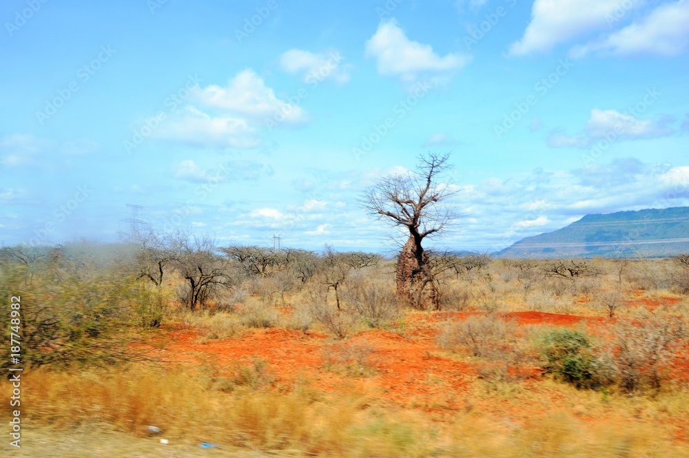 kenya kenya