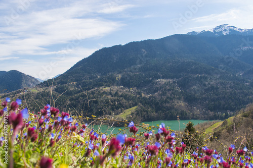 Panoramic view of Plastiras lake in central Greece, Karditsa photo