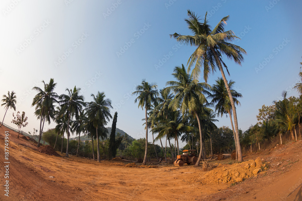 palm trees grow and the sawn-offs lie on the ground, near construction machinery, the concept of ecology and environmental protection palm trees grow and the sawn-offs lie on the ground, near construction machinery, the concept of ecology and environmental protection
