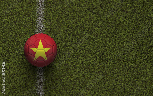 Vietnam flag football on a green soccer pitch. 3D Rendering