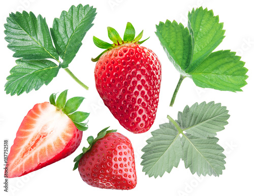 Collection of strawberries and strawberry leaves on white background.