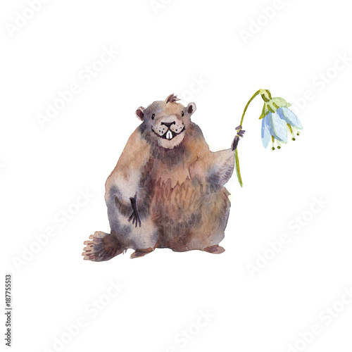 Happy Groundhog Day - hand drawing watercolor groundhog photo