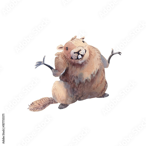Happy Groundhog Day - hand drawing watercolor groundhog