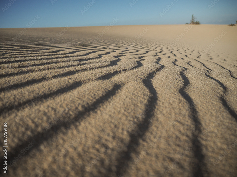 sandy desert with blue sky sandy desert with blue sky