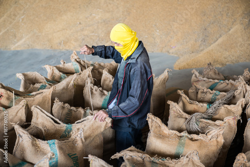 Rice industry in thailand