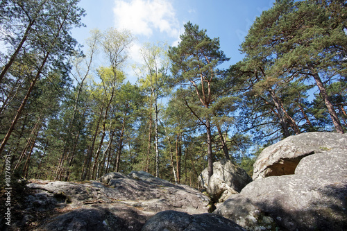 Rocky chaos in the regional nature park of french Gatinais