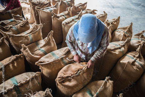 Rice industry in thailand