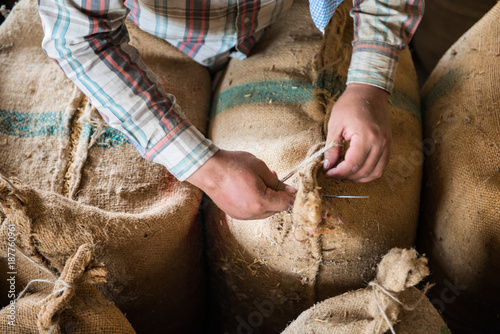 Rice industry in thailand