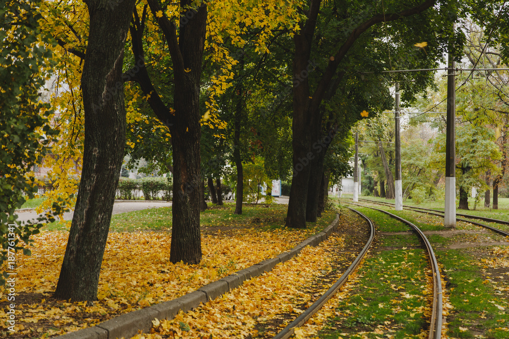 Railway or tramway track near beautiful autumn warm dry city park, bright warm fall colors, yellow leaves.