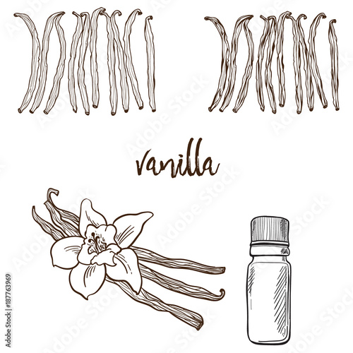 Vanilla flower and bootle spicy