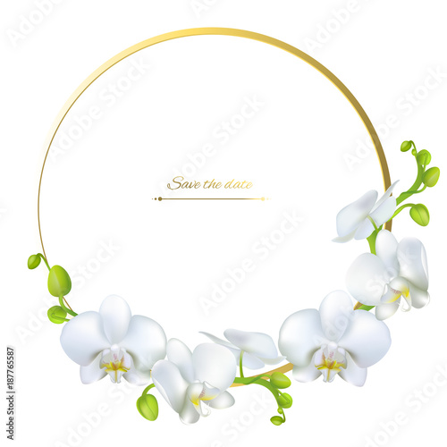 Orchid. White flowers. Tropical plants. Frame. Border. Congratulation. Vector background.