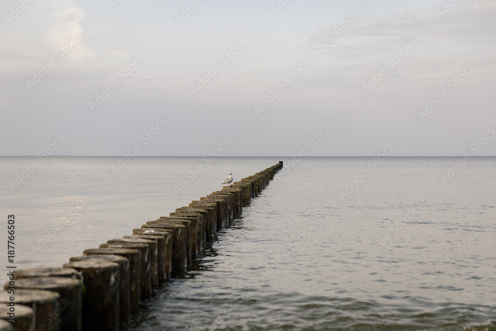 Ostsee Buhnen am Abend