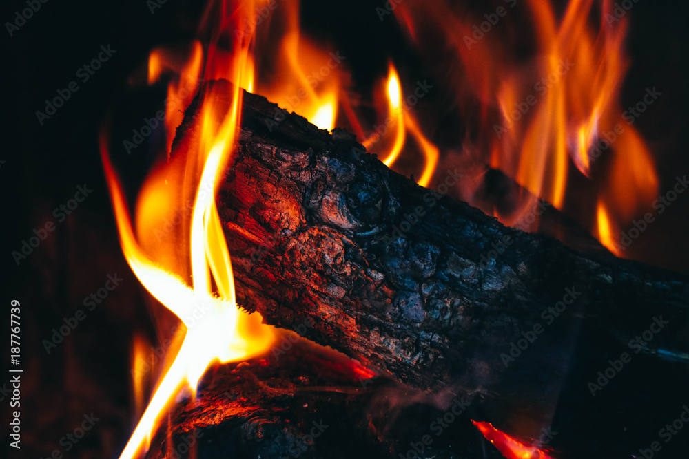 Fototapeta premium Colorful fire flame, burning wood at the fireplace. Firewood log in the fire chimney, closeup.