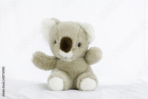 soft toy teddy bear sitting on white background.