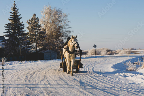 winter, story, snow, frost, new year, January, nature, beauty, horse