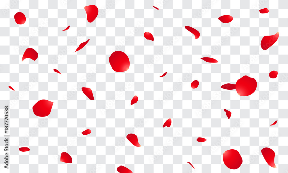 Falling Rose petals Vector illustration. Red rose petals on fake  transparent background Stock Vector | Adobe Stock