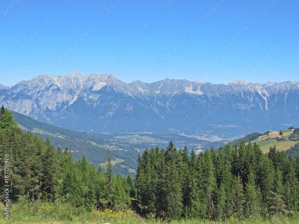 Berglanschaft-Wald-blauer Himmel
