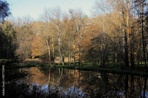 étang en automne