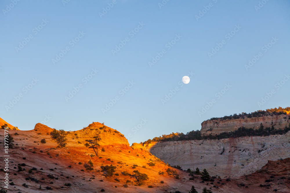 Scenic Zion National Park Utah Moonrise