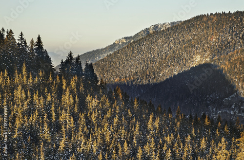 View of Low Tatras near Zahradky. Slovakia