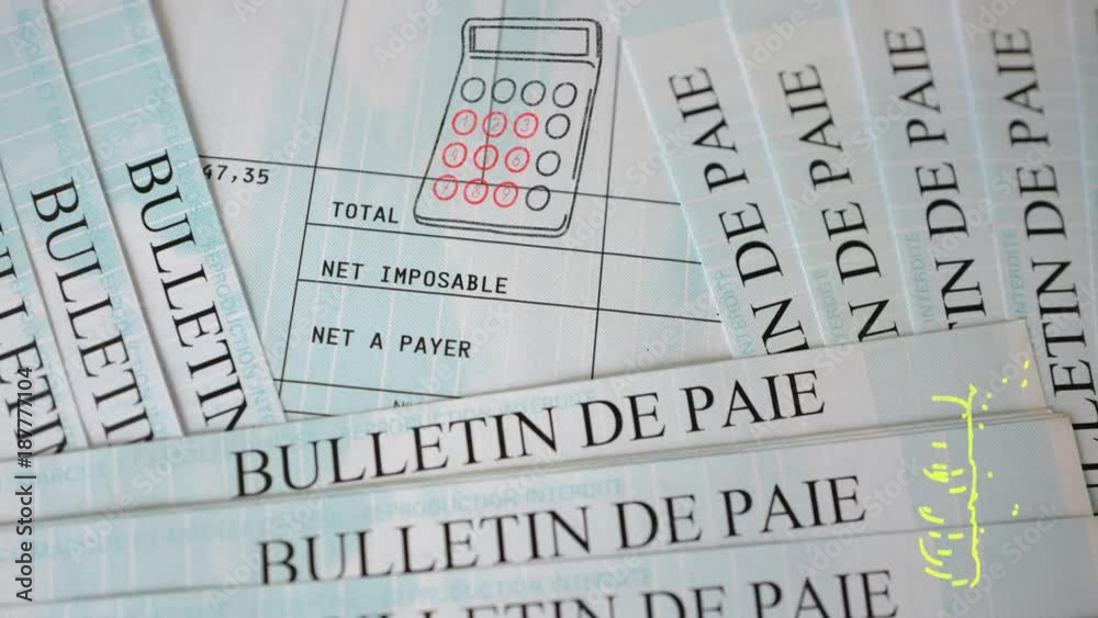 bulletin de paie video 2