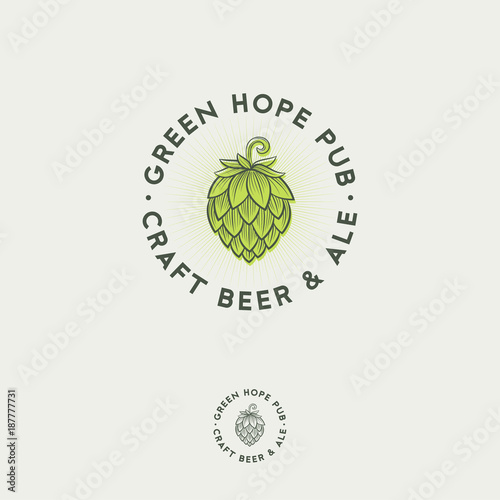 Beer Pub emblem. Hop cone logo. Craft Beer logotype. Engraving hop cones.