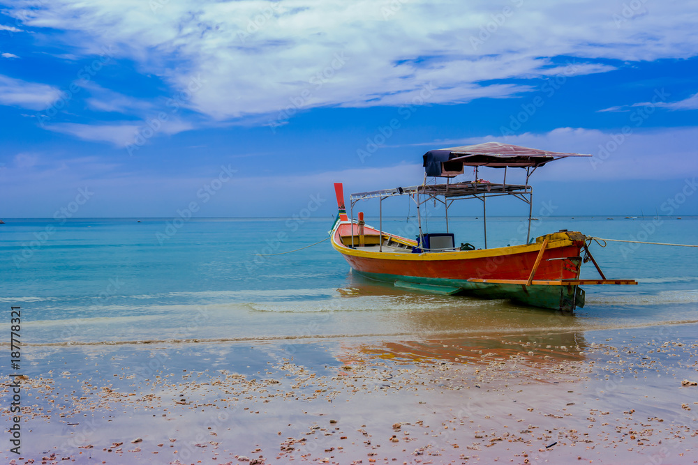 Fototapeta premium Palm Tree, River, Riverbank, Tropical Climate, Tropical Rainforest
