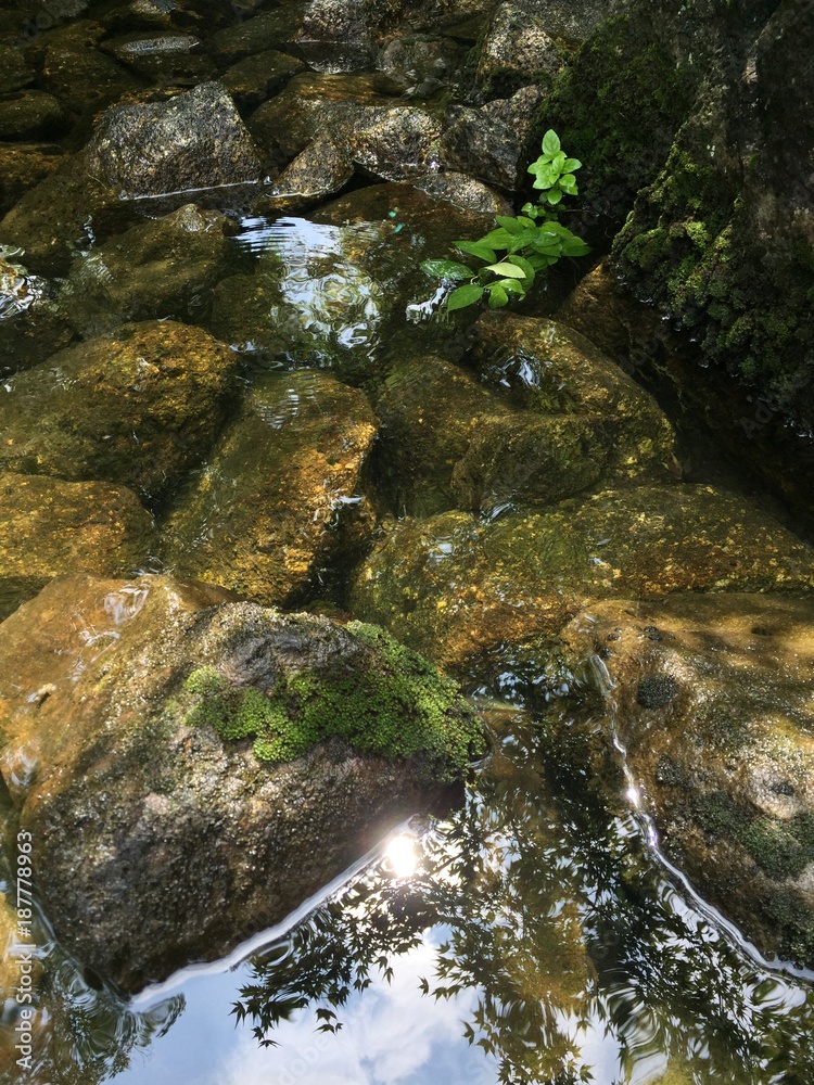 Obraz premium rock river surface